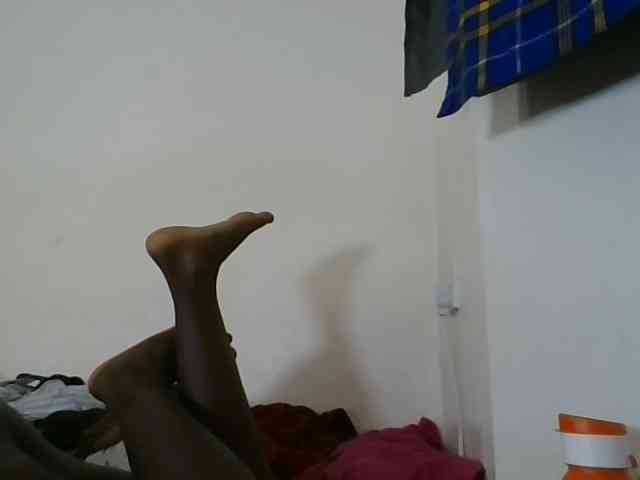 Niceone5 webcam
