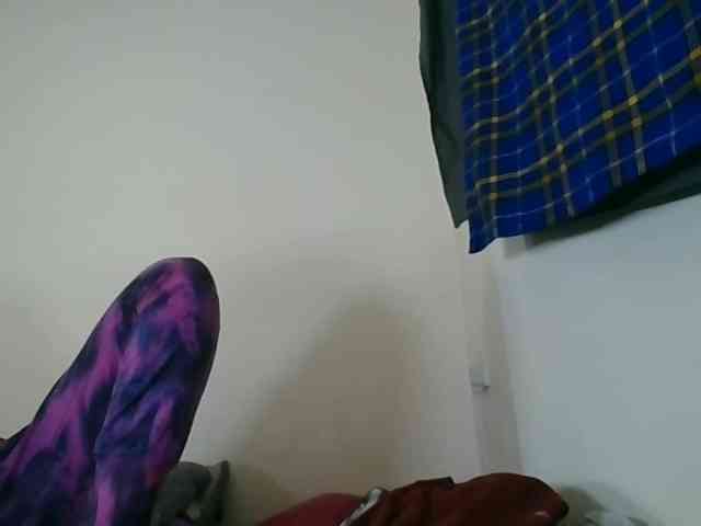 Niceone5 webcam