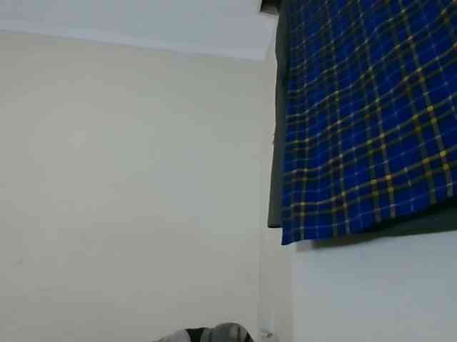 Niceone5 webcam