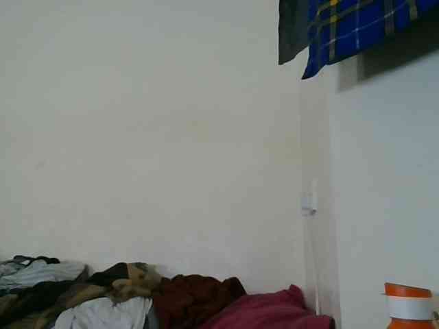 Niceone5 webcam
