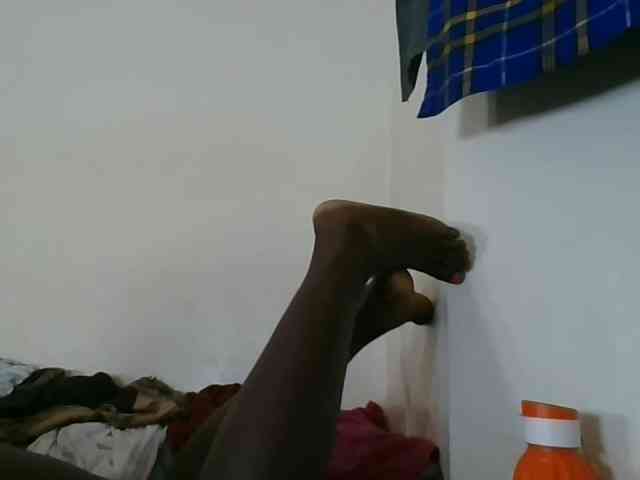 Niceone5 webcam