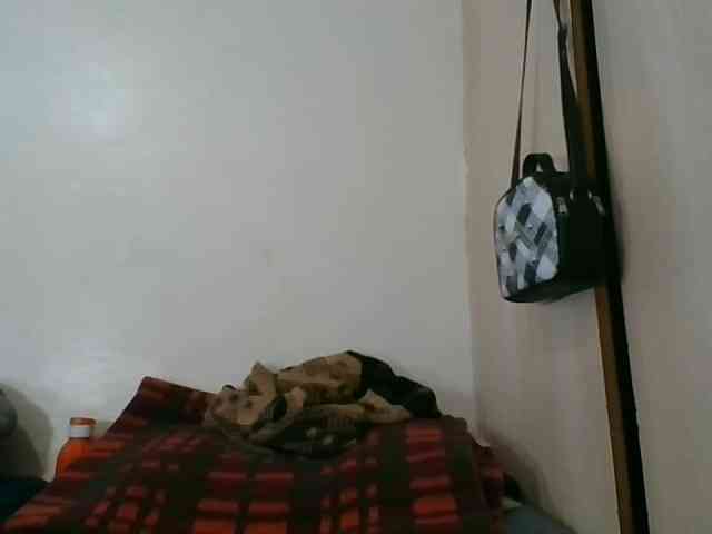 Niceone5 webcam