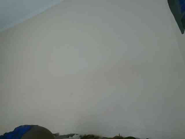Niceone5 webcam