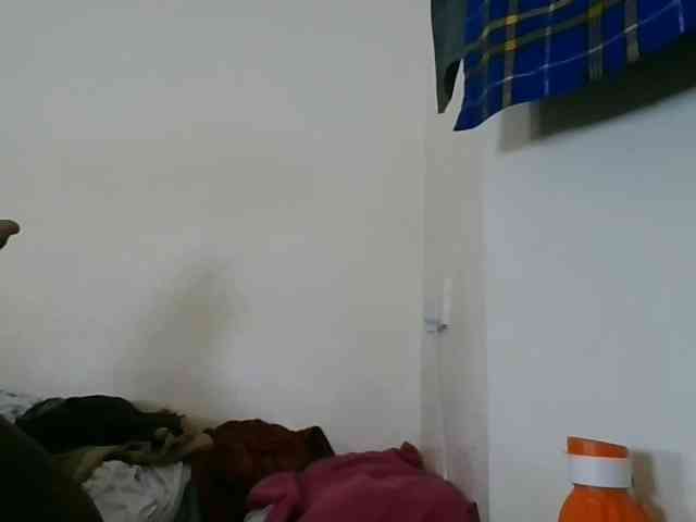 Niceone5 webcam