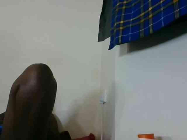 Niceone5 webcam