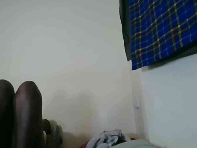 Niceone5 webcam