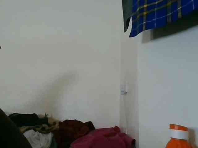 Niceone5 webcam