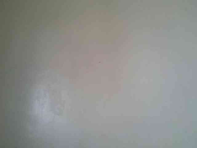 Niceone5 webcam