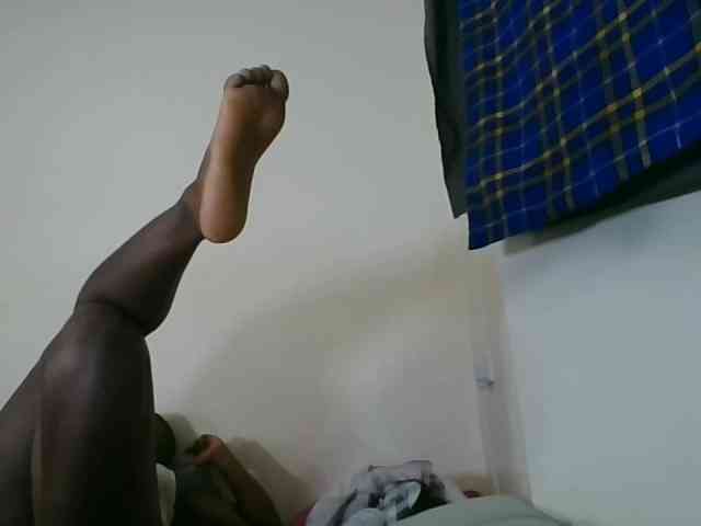 Niceone5 webcam