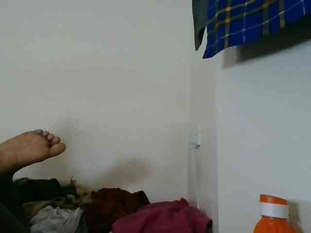 Niceone5 webcam