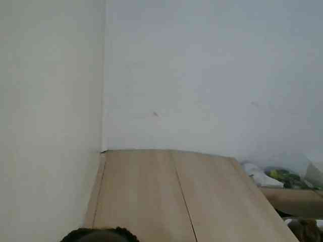 Niceone5 webcam