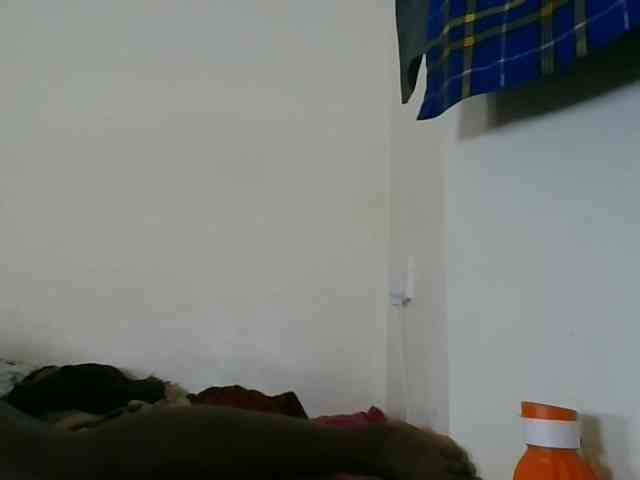 Niceone5 webcam