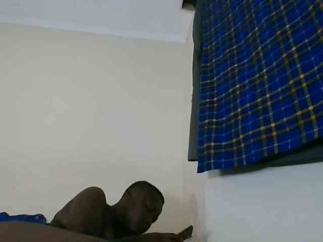 Niceone5 webcam