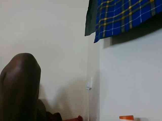 Niceone5 webcam