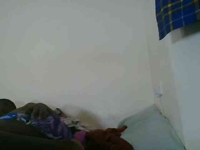 Niceone5 webcam