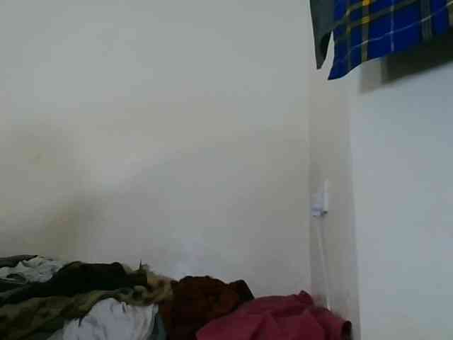 Niceone5 webcam