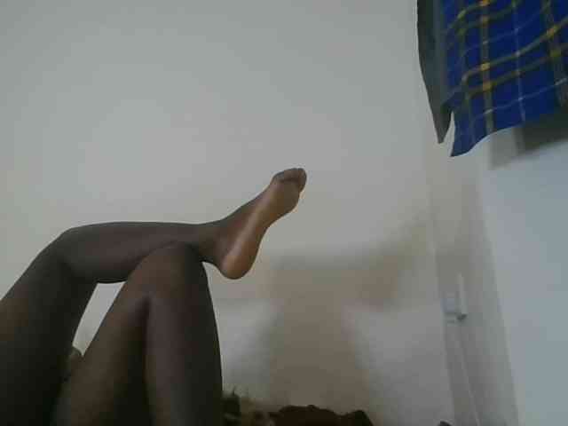 Niceone5 webcam
