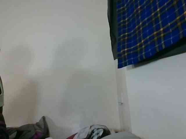 Niceone5 webcam