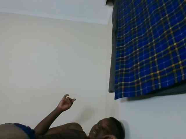 Niceone5 webcam