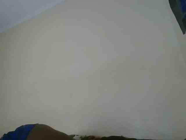 Niceone5 webcam