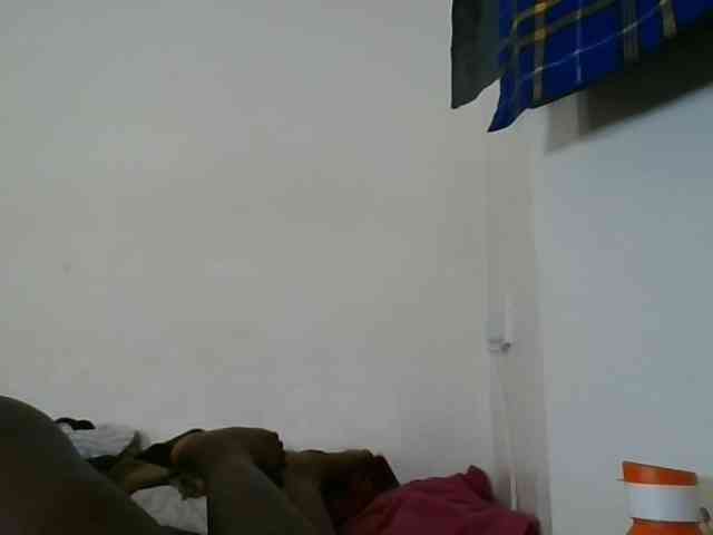 Niceone5 webcam