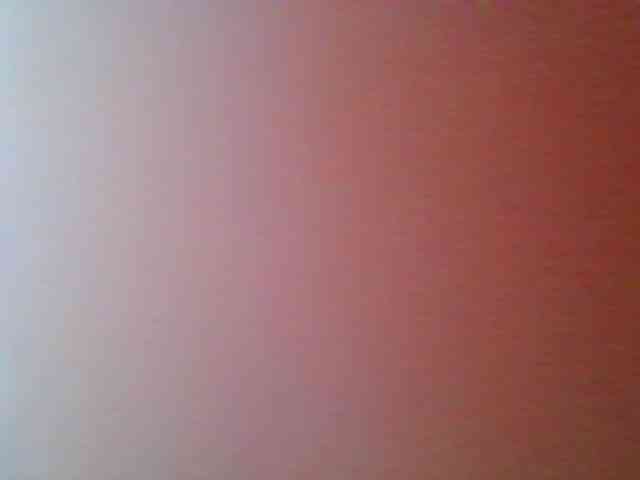 Niceone5 webcam