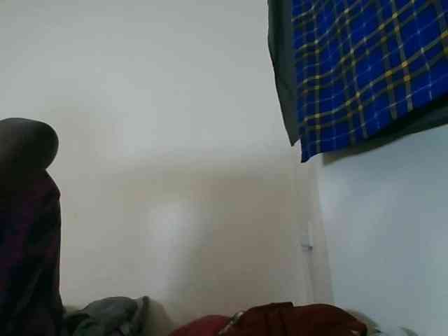 Niceone5 webcam