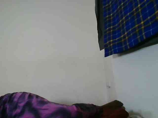 Niceone5 webcam