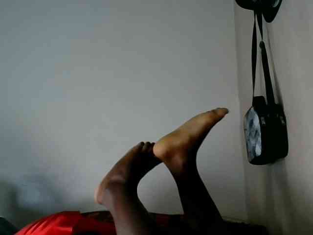 Niceone5 webcam