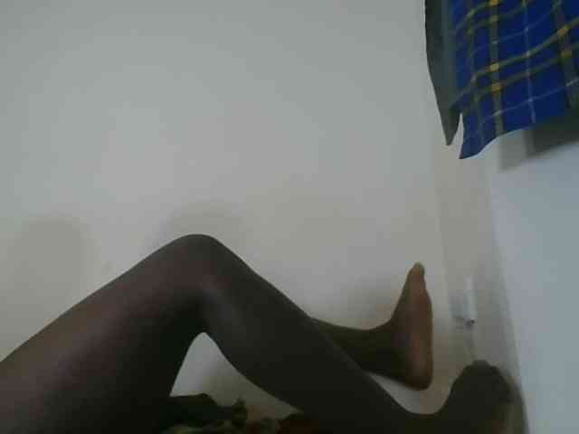 Niceone5 webcam