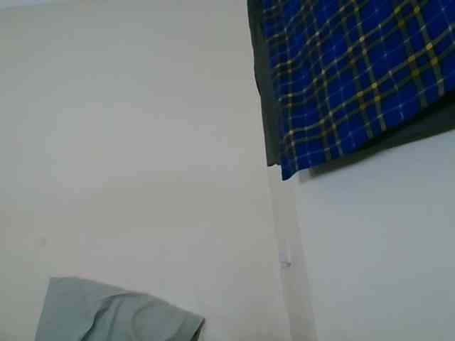 Niceone5 webcam