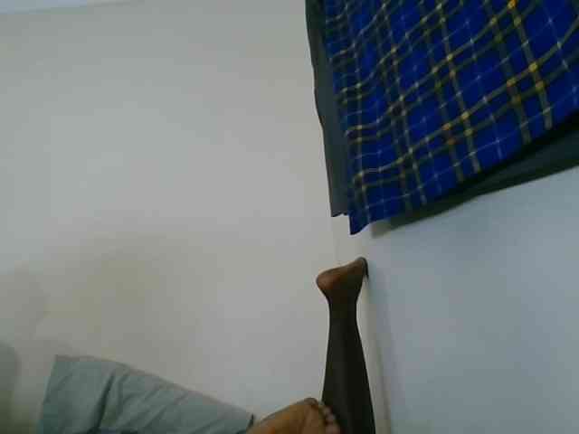 Niceone5 webcam