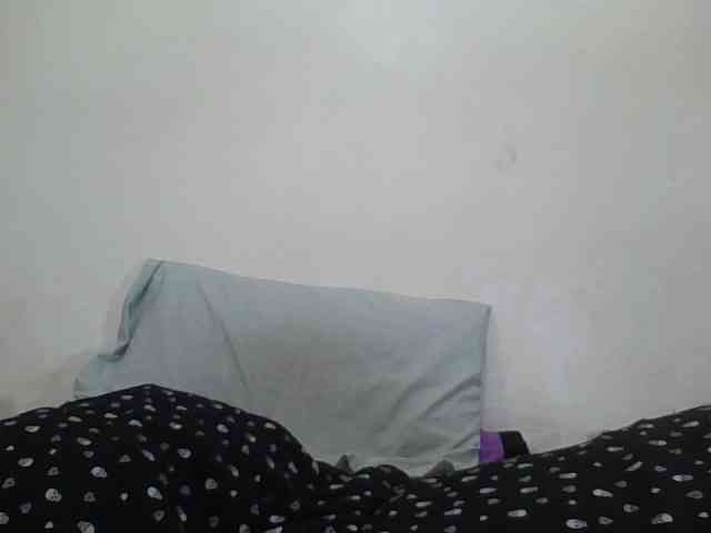 Niceone5 webcam