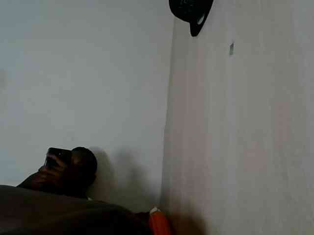 Niceone5 webcam
