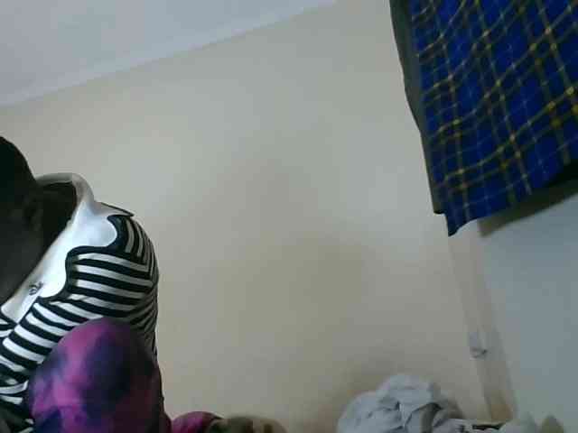 Niceone5 webcam