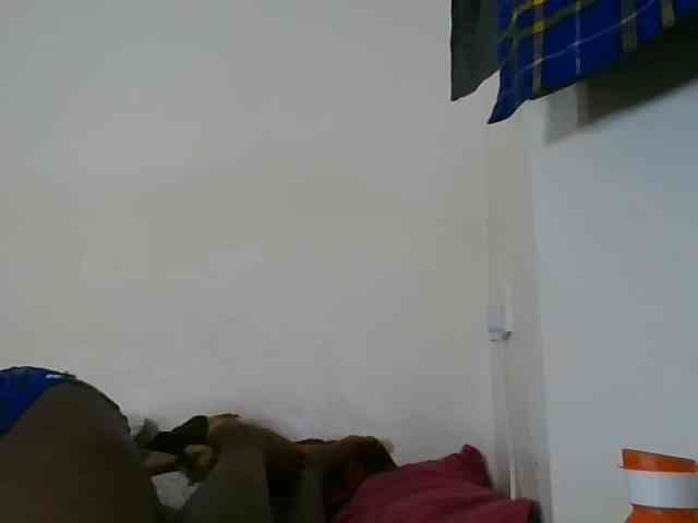 Niceone5 webcam