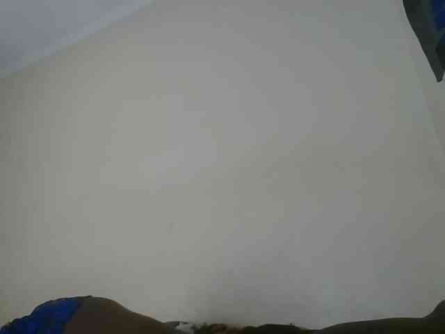 Niceone5 Niceone5