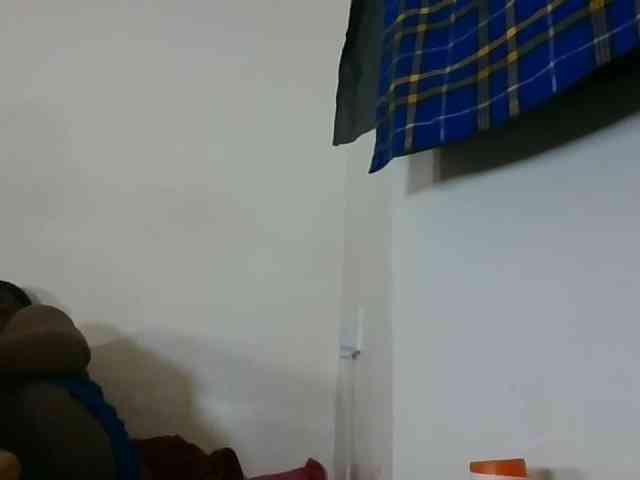 Niceone5 webcam