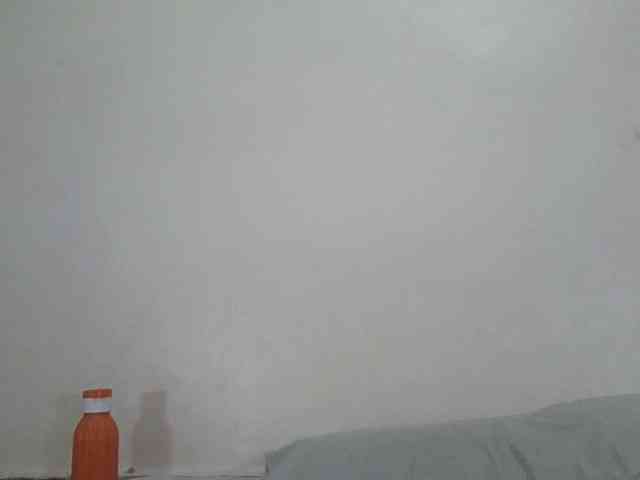 Niceone5 webcam