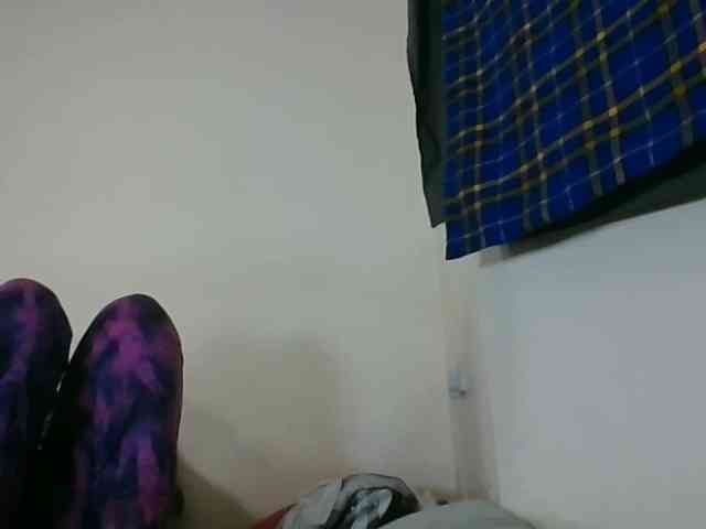 Niceone5 webcam