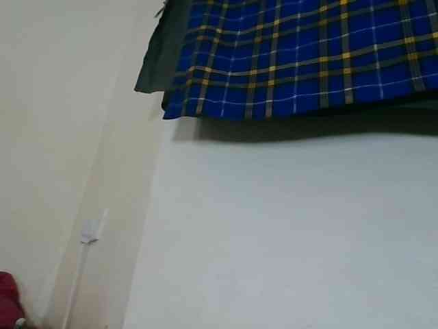 Niceone5 webcam