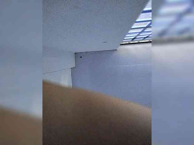 Kariar89 webcam