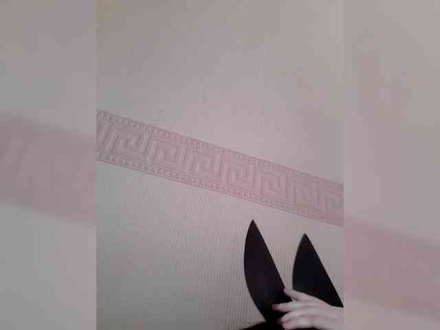 Volk_22 webcam