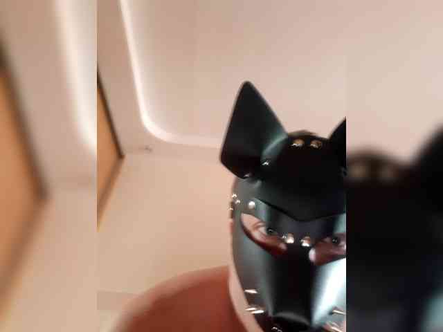 Volk_22 webcam