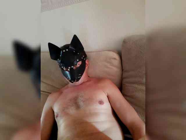 Volk_22 webcam