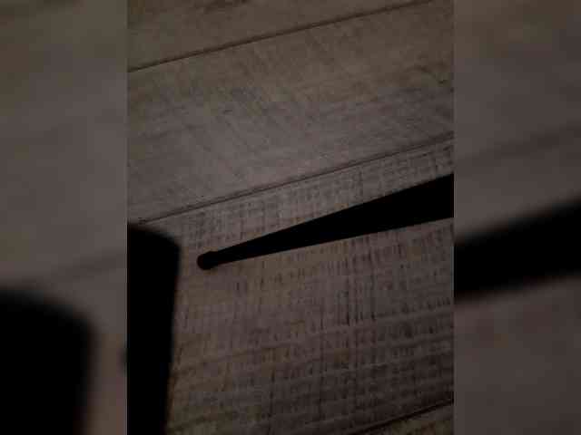 Volk_22 webcam