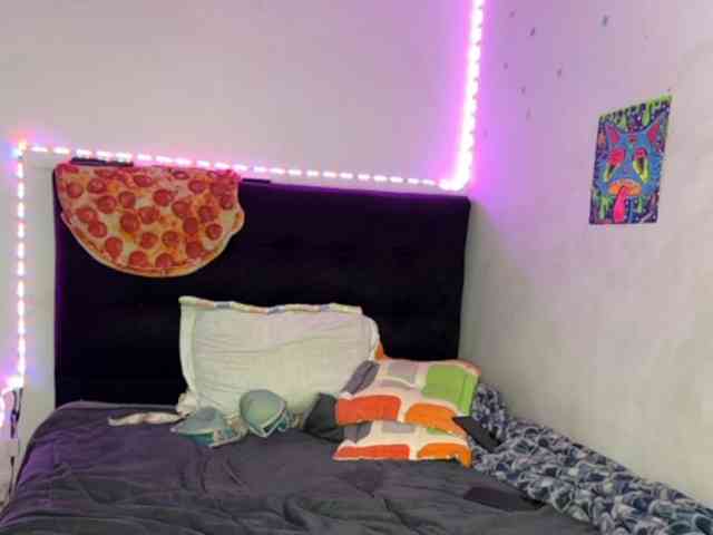 mrandmsshrimp's live room