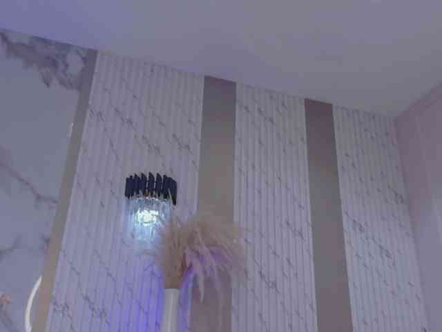 Blaira webcam