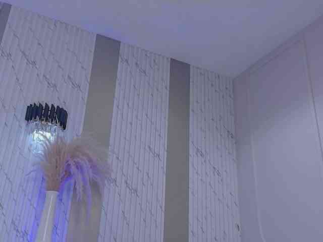 Blaira webcam