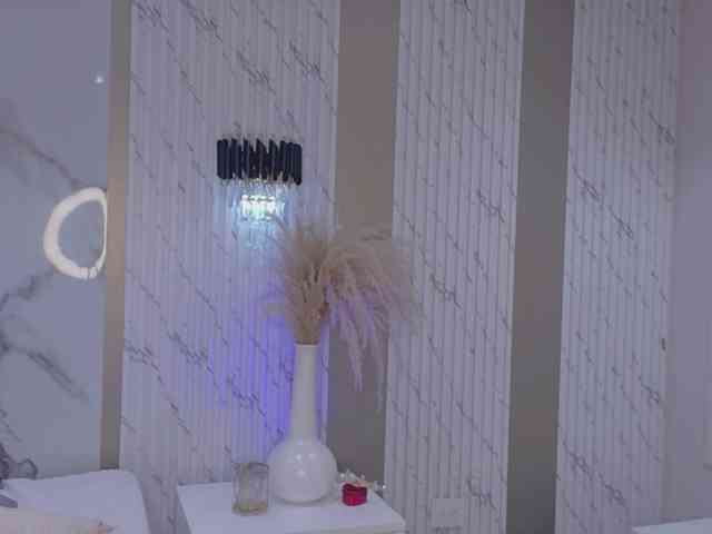 Blaira webcam